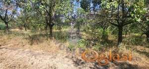***Plac Novi Ledinci-393m2***