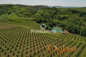 Aranđelovac - Misača, imanje 7.44ha, uknj. ID#1436