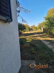 Vikendica na Staroj Tisi, Bačko Gradište