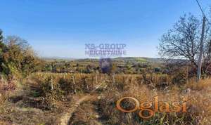 Prodaje se plac u sirinama Petrovaradin