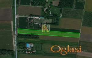 Glavni put ka Čeneju - 4km od ulaza u Novi Sad