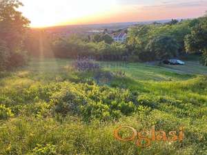Retko u ponudi plac u Sremskoj Kamenici!!!!!