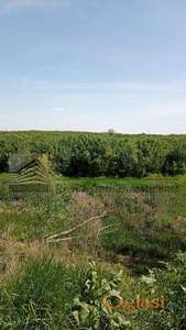 Pet parcela sa velikim potencijalom