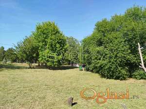 SREMSKI KARLOVCI - SREMSKI KARLOVCI - 2008.00 m2