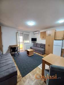 Nameštena garsonjera,Danila Kiša