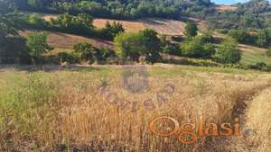 Prodaje se plac u Beocinu 12314m2