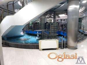 Lokal,NOVI SAD,CENTAR,kv: 25, € 46500, ID: 8000468
