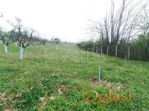 SREMSKA KAMENICA - ČARDAK - 6600.00 m2