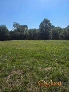 Poljoprivredni plac u Novom Selu 57,01