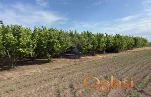 Nov plac u Velikim Radincima!!