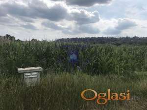 Odlican plac u S. Kamenici 5018m2