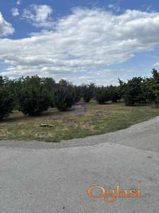 ***GRADJEVINSKO ZEMLJIŠTE 4946m2****