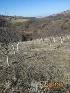 Plac izmedju Ledinaca i Rakovca. Potez Kesten