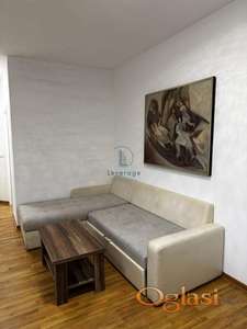 Vračar, Južni bulevar, pet-friendly, 48 m2