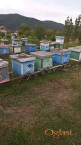 Prodajem rojeve na DB ramovima i satne osnove