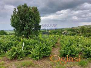 Odličan plac na Širinama!