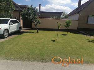 Prodajem useljivu porodičnu kuću - Srbobran