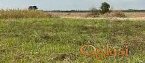 Plac, Rumenka, 667m2