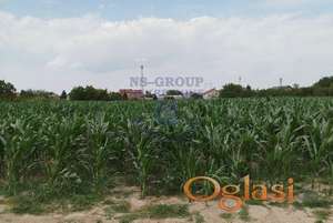 Predstavljamo vam odličan gradjevinski plac u Veterniku.