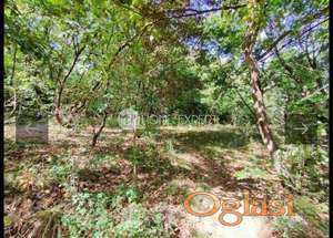 VELIKA REMETA - VELIKA REMETA - 1136.00 m2