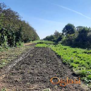 Plac na Jabučkom putu