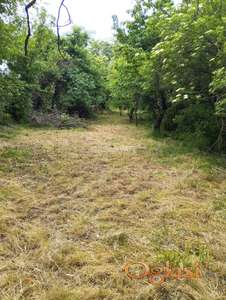 Voćnjak sa vikendicom