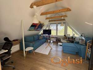 Odločna porodična kuća