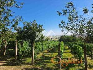 Prodaje se vikendica u Slankamenu u neposrednoj blizini vinarije Šapat ID#6159