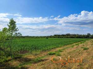 Plac 2.7ha i šuma 0.35ha na Savi, Šabac