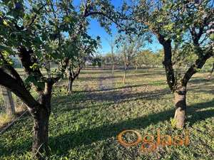 Plac - 600m2 - Veternik