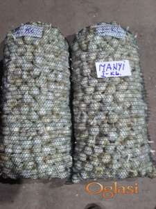 Prodajem domaći proljećni beli luk.