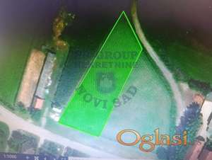 Prodaje se plac u Curugu 2631m2