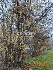 Novi Sad, Popovica, , 11a