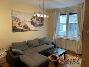  ODLIČAN JEDNOIPOSOBAN STAN U CENTRU, PET FRIENDLY, PARKING 