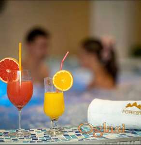 Zlatibor, apartman sa besplatan bazenom i spa
