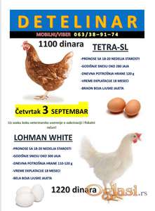 Prodaja nosilja – hibridi TETRA‑SL i LOHMAN WHITE
