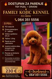 Toy Mužjak Parenje
