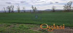 Poljoprivredno zemljište, 5434m2, Futog