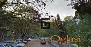 Zvezdarsko Dedinje-Geršićeva-4 ara u parku,Lion! ID#1915