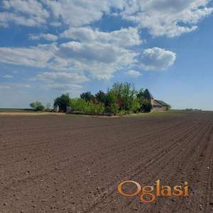 Srbobran, Prelep komforan salaš na 4.34 k jutra zemlje pored asfaltnog puta