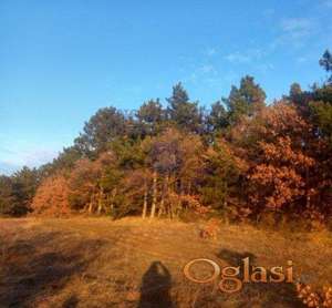 Poljoprivredno zemljiste, pašnjak 7 Klase.