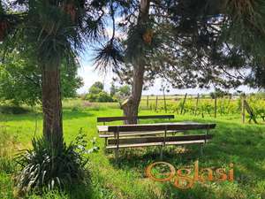 Prelep plac u vikend zoni, Čerević