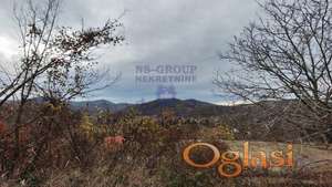 Plac od 4749m2, Ledinci