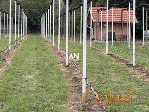 Inđija, Krčedin, građevinsko zemljište, zasad borovnica… ID#27231