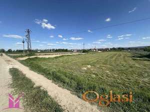 *Novi Sad - Futog*
