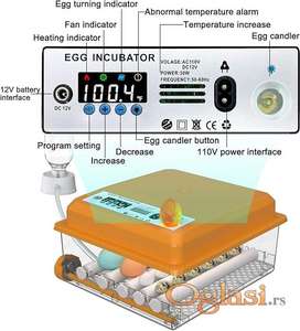 Inkubator mini do 16 kokošijih jaja -automacki-novo-dva modela.