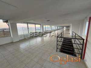 Lokal - Lestane #66257