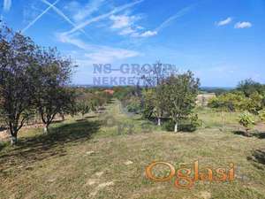 Plac u Petrovaradinu,954m2