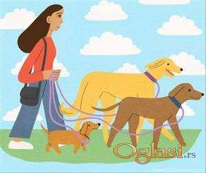 Setanje Pasa Beograd