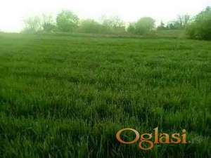 ČORTANOVCI, PRODAJA 50 ari GRAĐEVINSKOG ZEMLJIŠTA